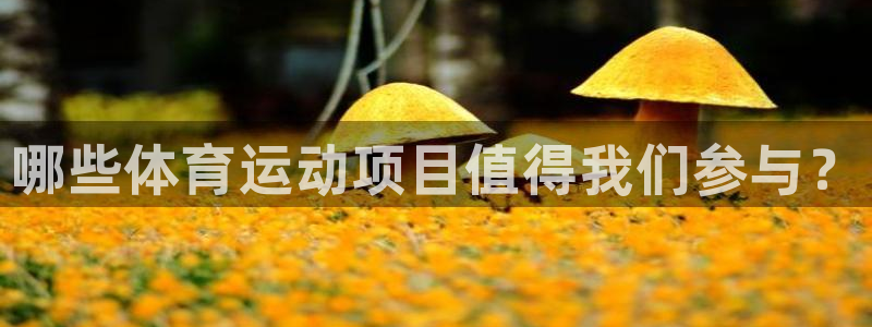 海南凯发官网下载：哪些体育运动项目值得我们参与？