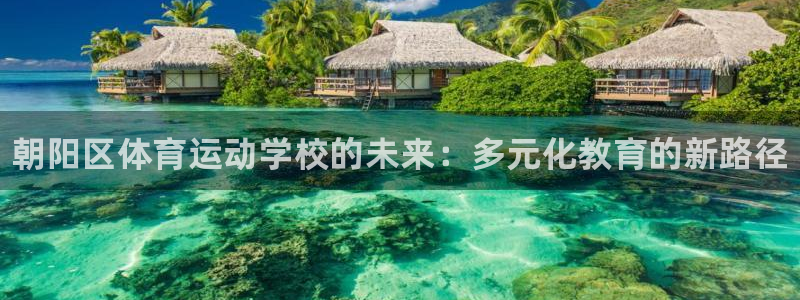 凯发官方正版app开户：朝阳区体育运动学校的未来：多