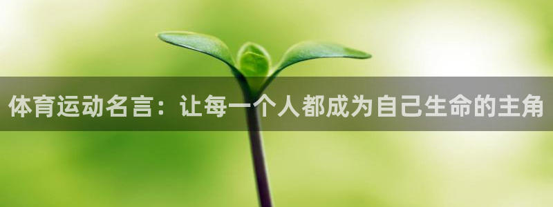 凯发官方正版app娱乐是那个系列的台子