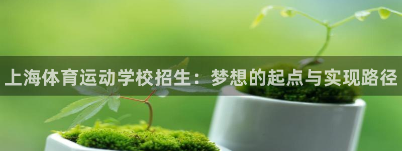 凯发官网下载平台是正规平台吗知乎：上海体育运动学校招生：梦想