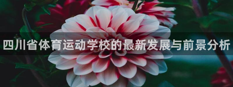 注册凯发官方正版app：四川省体育运动学校的最新发展与前景分