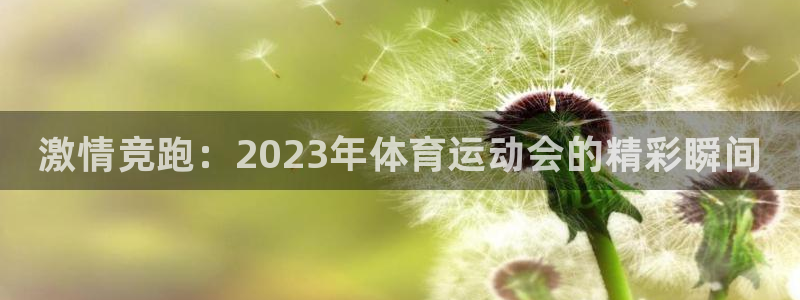 凯发官网下载招商电话地址：激情竞跑：2023年体育运动会的精