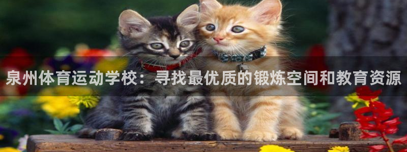 凯发官网下载平台是正规平台吗安全吗：泉州体育运动学校：寻找最