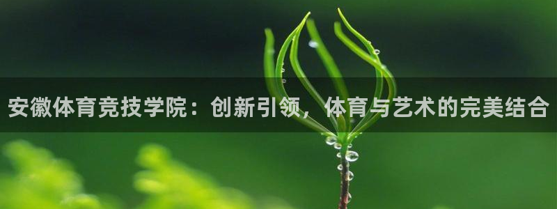 凯发官网下载开户