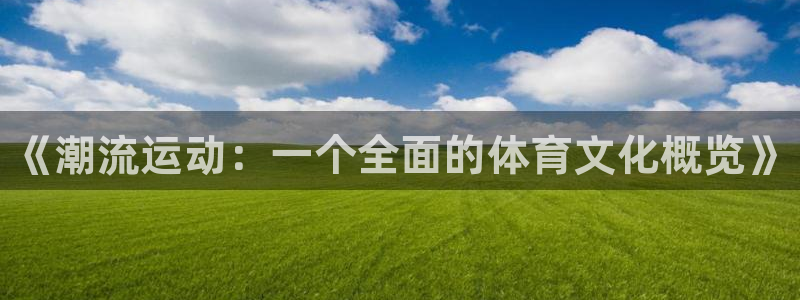 海南凯发官网下载：《潮流运动：一个全面的体育文化概览