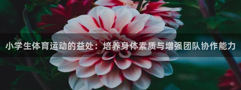 凯发官网下载开户