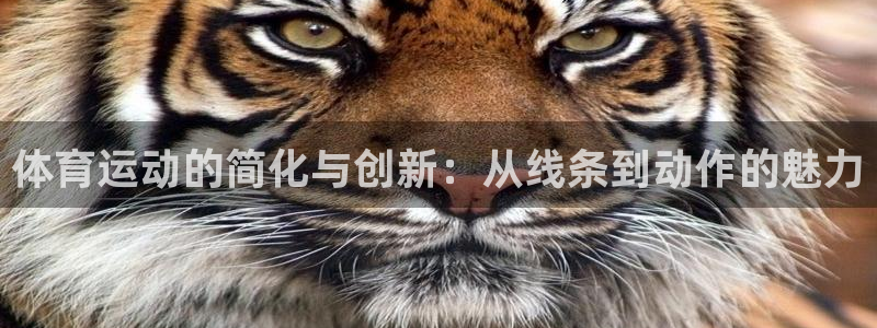凯发官方正版app五金厂