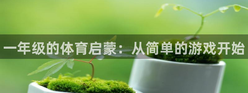 凯发官方正版app官方：一年级的体育启蒙：从简单的游