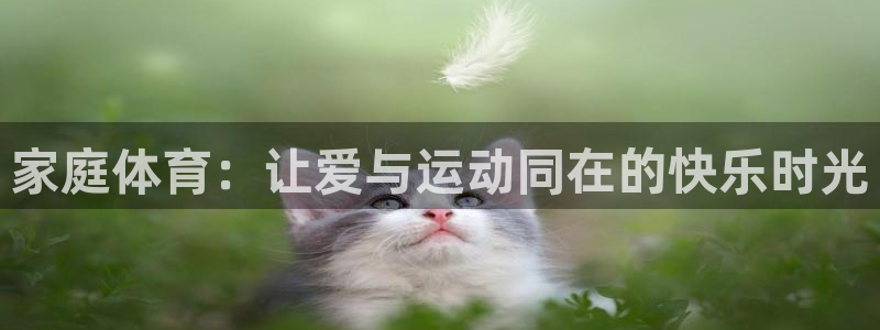 凯发官方正版app娱乐网站：家庭体育：让爱与运动同在的快乐时