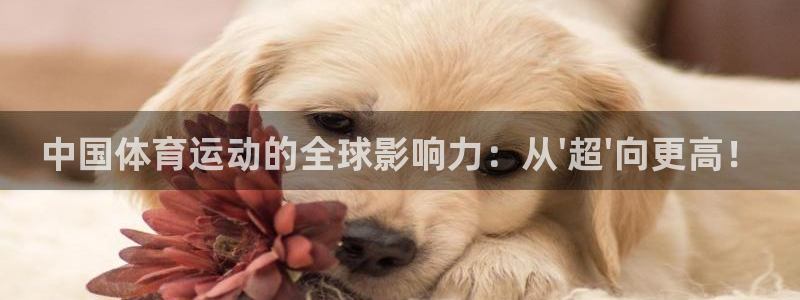 凯发官方正版app集团：中国体育运动的全球影响力：从\'超\