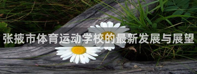 凯发官网下载招商电话号码查询是多少：张掖市体育运动学校的最新