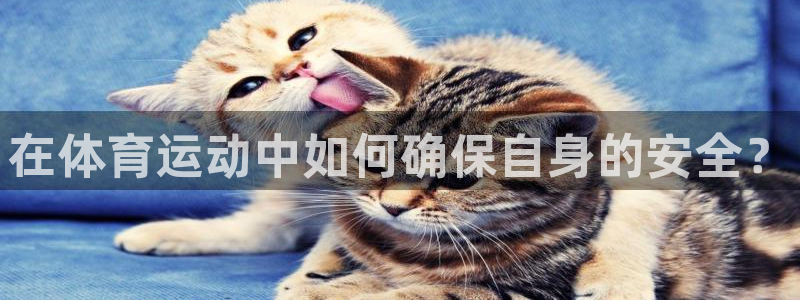 凯发官网下载招商电话