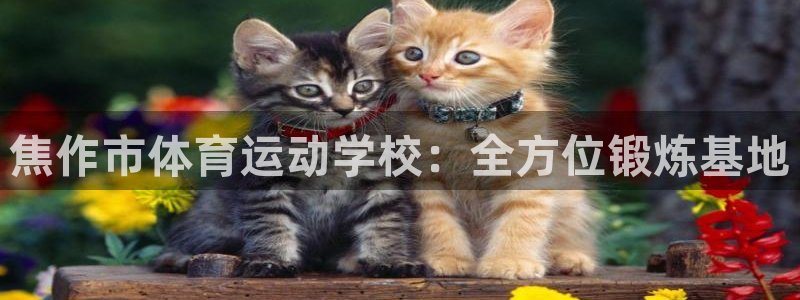 凯发官网下载平台假的吗是真的吗吗：焦作市体育运动学校：全方位
