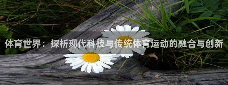 凯发官网下载招商电话地址：体育世界：探析现代科技与传统体育运