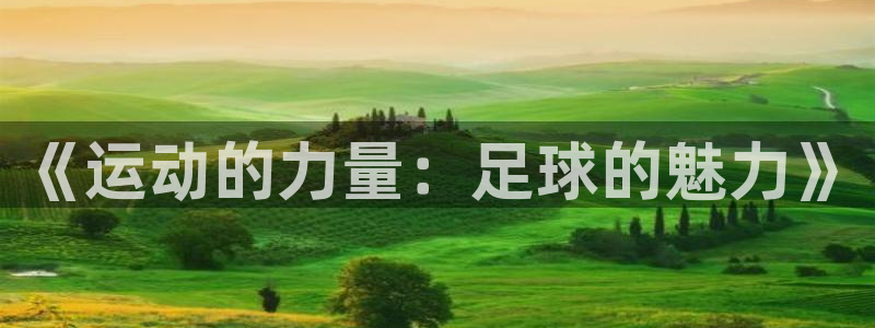 凯发官方正版app娱乐是那个系列的台子：《运动的力量
