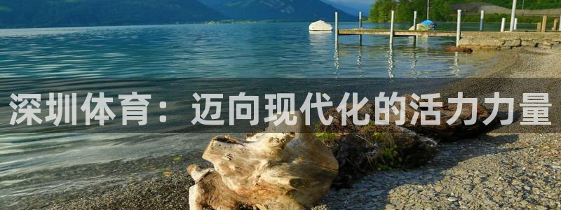 凯发官方正版app集团logo：深圳体育：迈向现代化