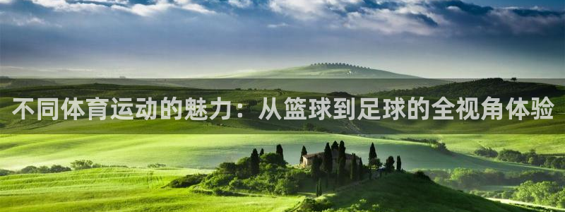 凯发官方正版app官网：不同体育运动的魅力：从篮球到