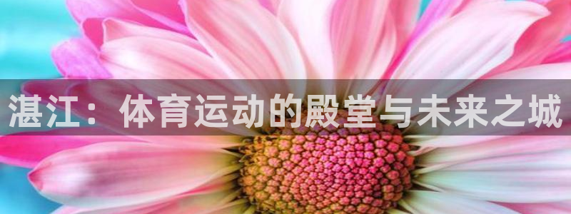 凯发官方正版app神州：湛江：体育运动的殿堂与未来之