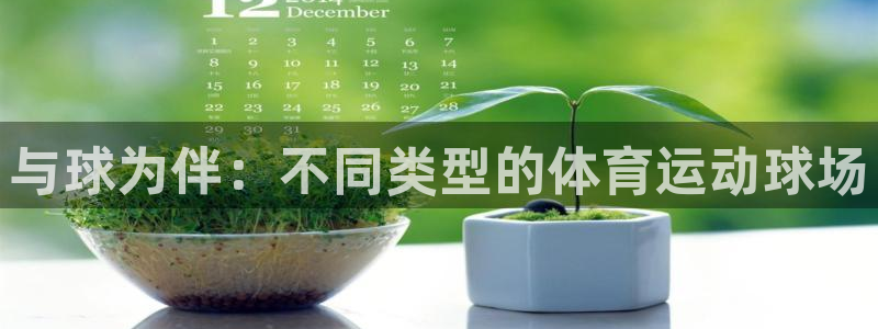 凯发官方正版app娱乐代理怎么样：与球为伴：不同类型
