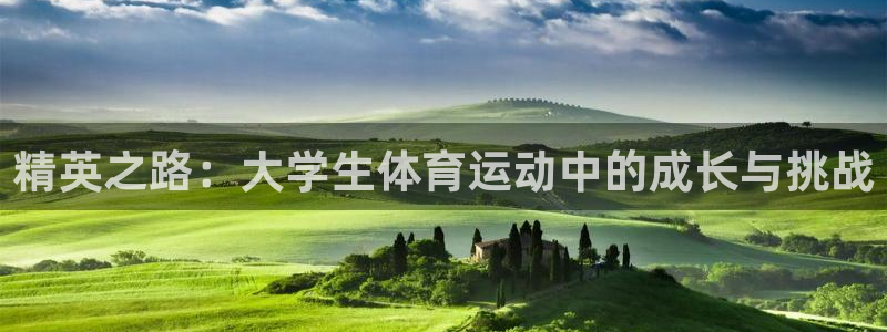 凯发官方正版app集团logo：精英之路：大学生体育