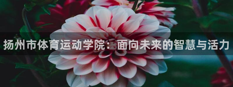 凯发官网下载：扬州市体育运动学院：面向未来的智慧与活力