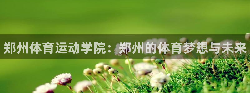 凯发官网下载软件：郑州体育运动学院：郑州的体育梦想与未来