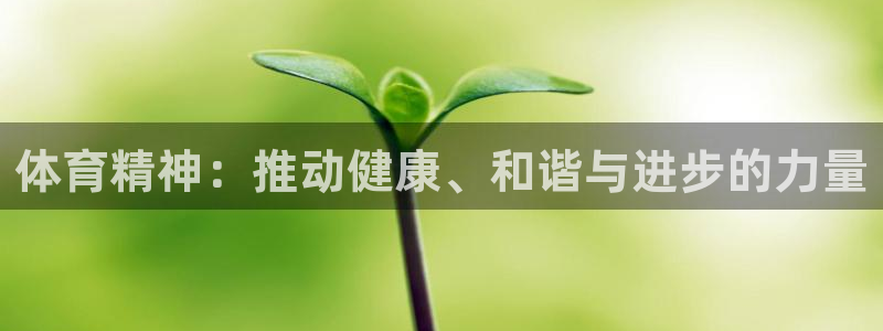 凯发官网下载平台注册要钱吗：体育精神：推动健康、和谐