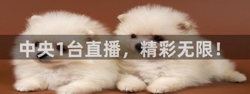 足球24直播网：中央1台直播，精彩无限！