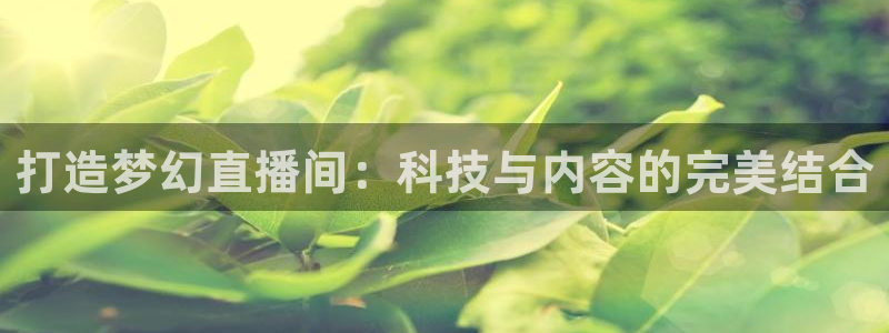 24直播免费篮球球直播：打造梦幻直播间：科技与内容的完美结合