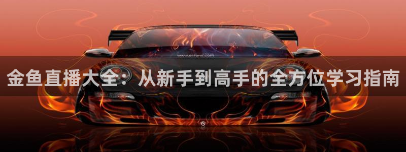 24直播免费篮球直播在线观看：金鱼直播大全：从新手到高手的全方位学习指南