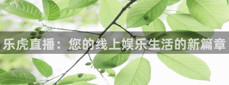 24直播网体育在线观看：乐虎直播：您的线上娱乐生活的新篇章
