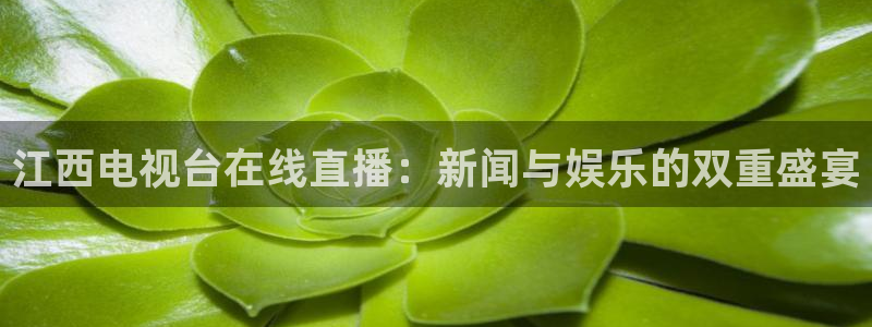 24直播吧nba直播：江西电视台在线直播：新闻与娱乐的双重盛宴